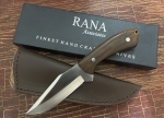 Stainless Steel Skinner Knife